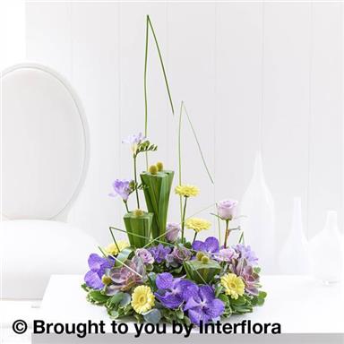 Vanda Orchid & Echeveria Arrangement Jackie's Florist Tallaght