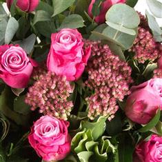Dozen Pink Long Stem Roses